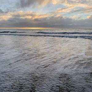 Sandpiper Grasstree Beach