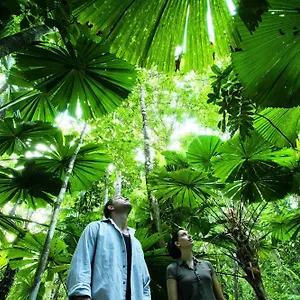 Nrma 4* Cairns